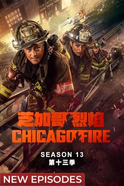 芝加哥急救 第十三季