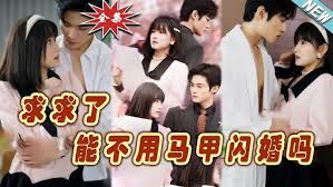 求求了，能不用马甲闪婚吗$闪婚夫妇，为何那样