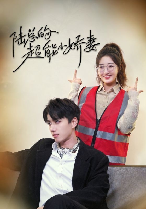 陆总的超能小娇妻$余生只护你$踮起脚尖的爱