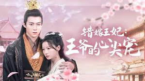 错嫁王妃王爷的心尖宠