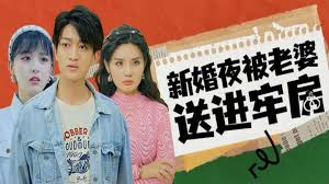 .新婚夜被老婆送进牢房