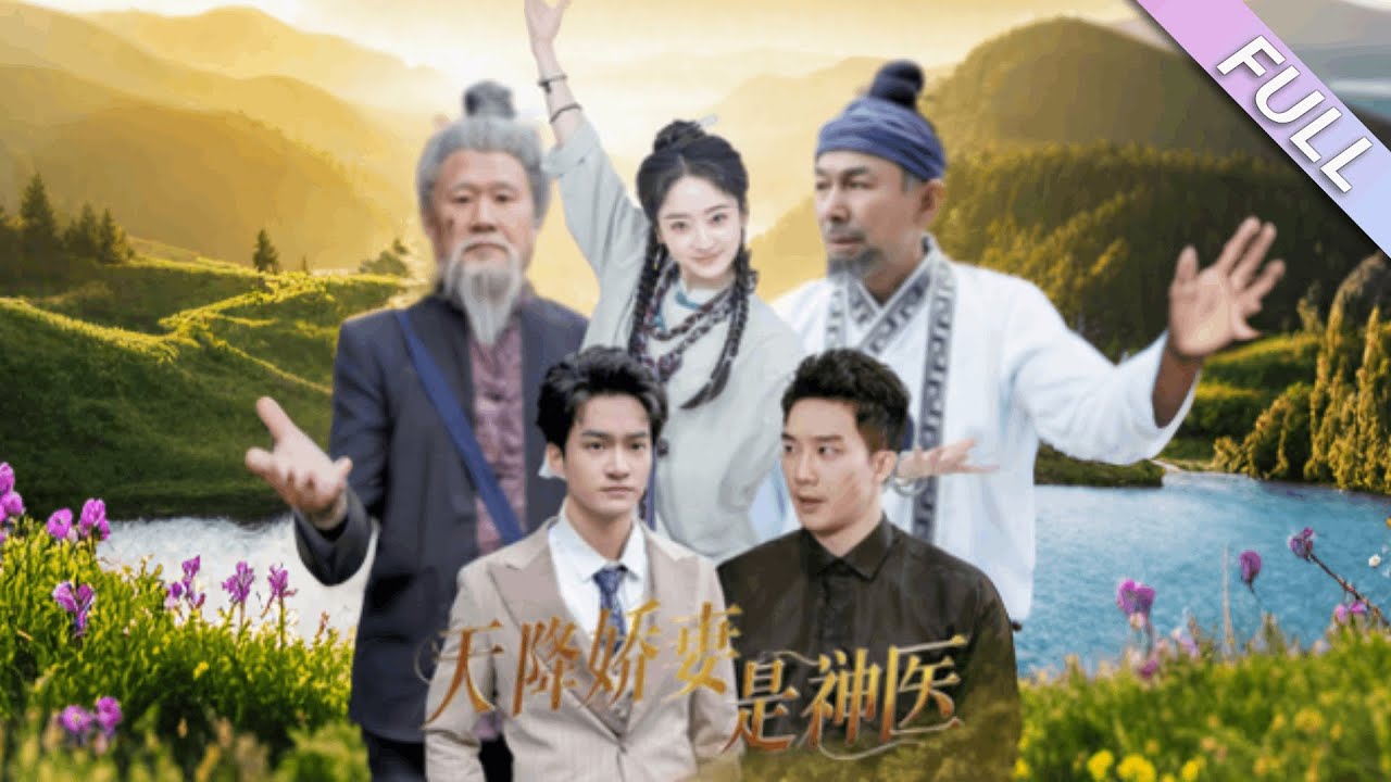 霸总老婆是神医