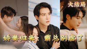 娇妻归来霸总别虐了