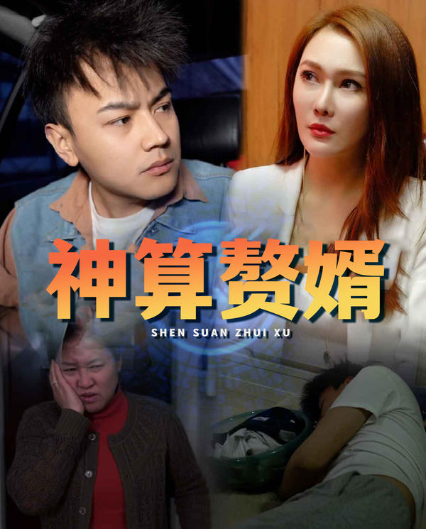 神算赘婿