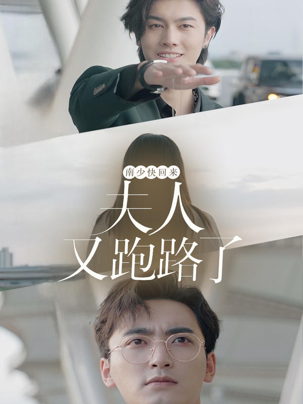 南少快回来,夫人又跑路了