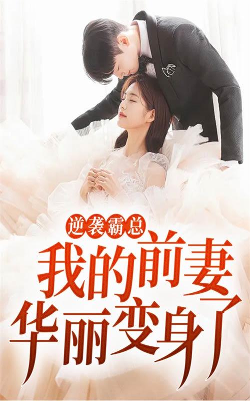 逆袭霸总:我的前妻华丽变身了