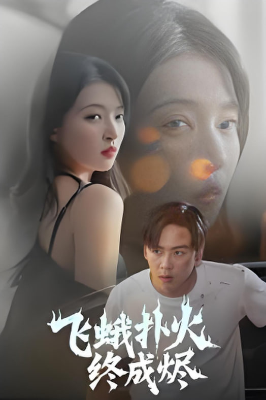 飞蛾扑火终成烬