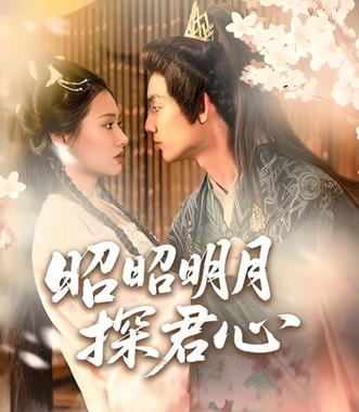 昭昭明月探君心