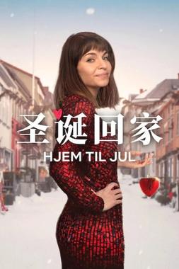 圣诞寻伴 第三季