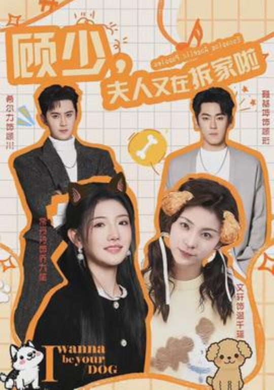 顾少,夫人又在拆家啦