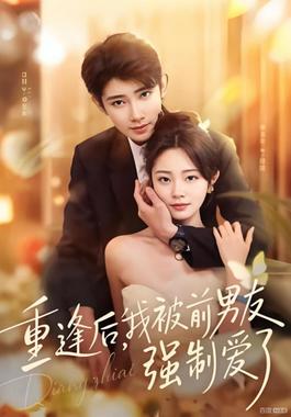 重逢后,我被前男友强制爱了